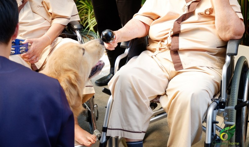 คลายเหงาสูงวัย… ด้วยสัตว์เลี้ยงแสนน่ารัก (Pet Therapy)
