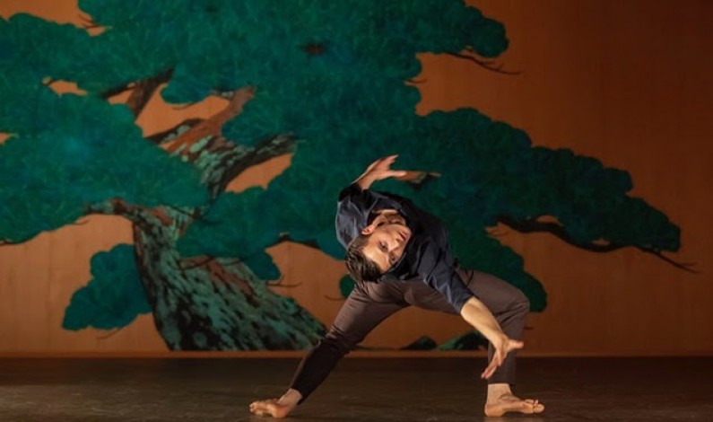 งานแถลงข่าวBCB DANCE COLLECTION 2019: The Contemporary Dance Performance with James Pett Presented by B.Grimm