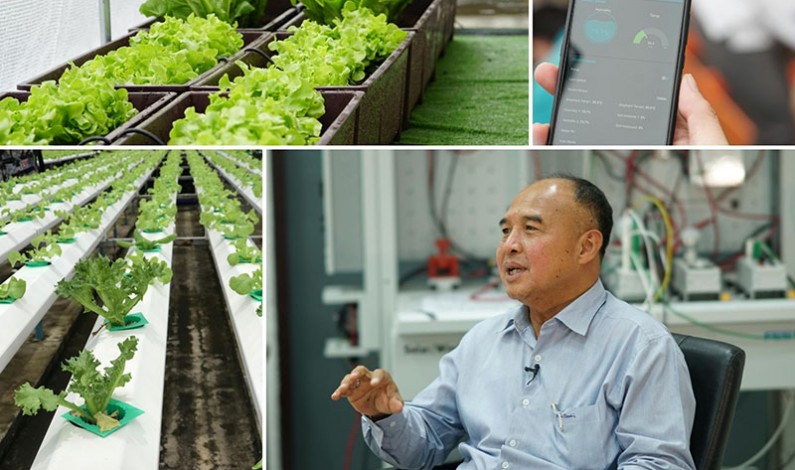 สถาบันเทคโนโลยีปทุมวัน ลุยโครงการ “สมาร์ทฟาร์ม” ใช้เทคโนโลยีพัฒนาเกษตรกรรม สร้างผลผลิตคุณภาพอย่างยั่งยืน